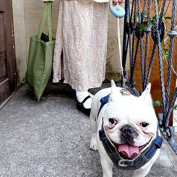 高雄環保袋廠商